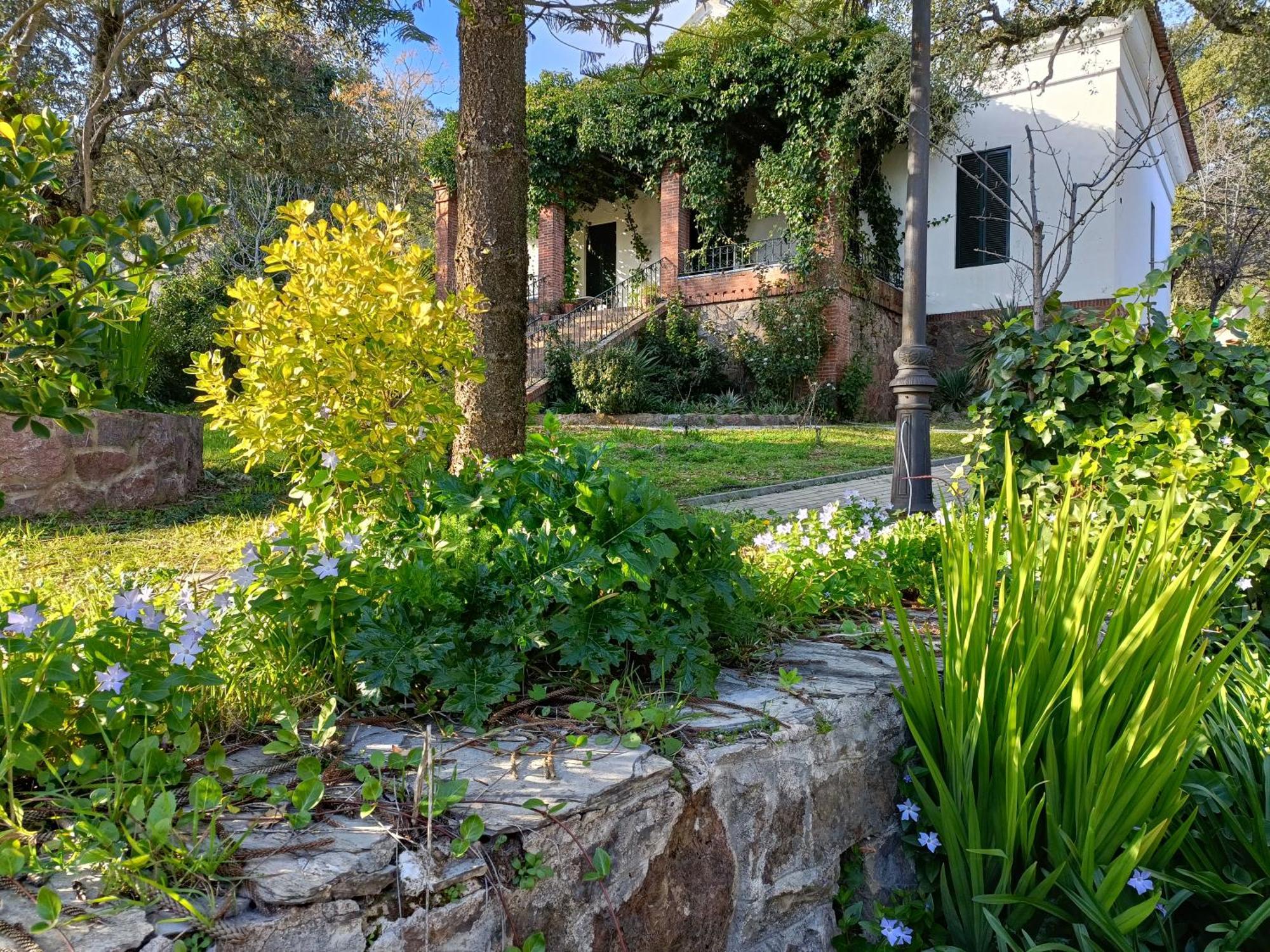 Aracenilla 7 Villa Aracena Dış mekan fotoğraf